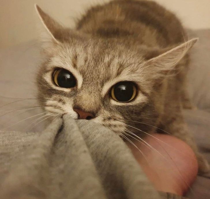 91a5595ff19a7249576568d2f9