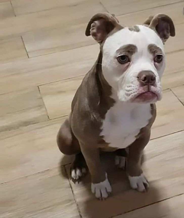 91a8f55233b124d573bf462d50