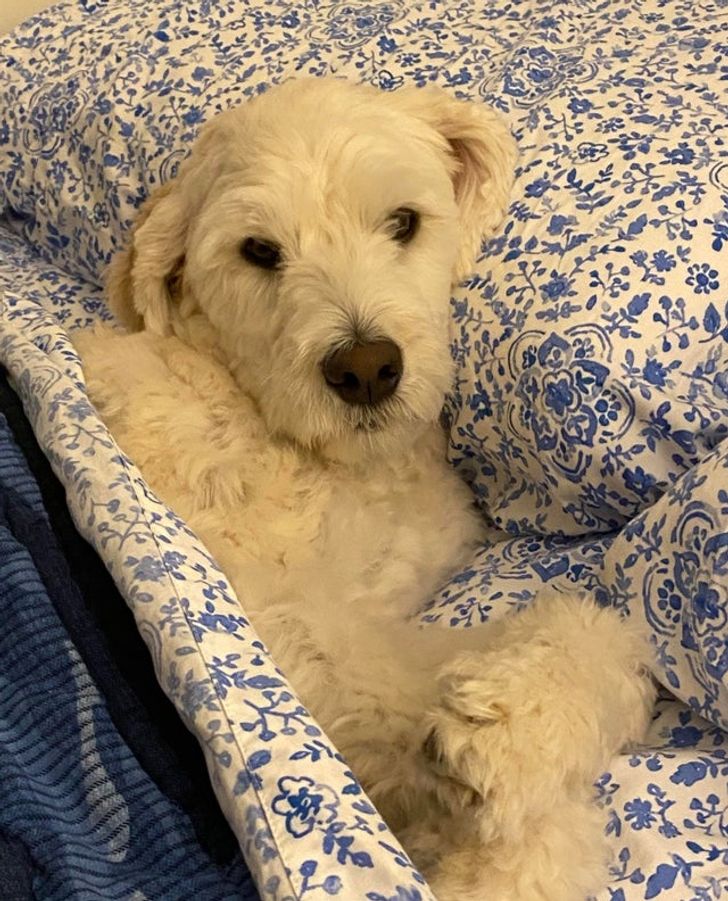 91ab0d5179baacf0e8d9caf3fe