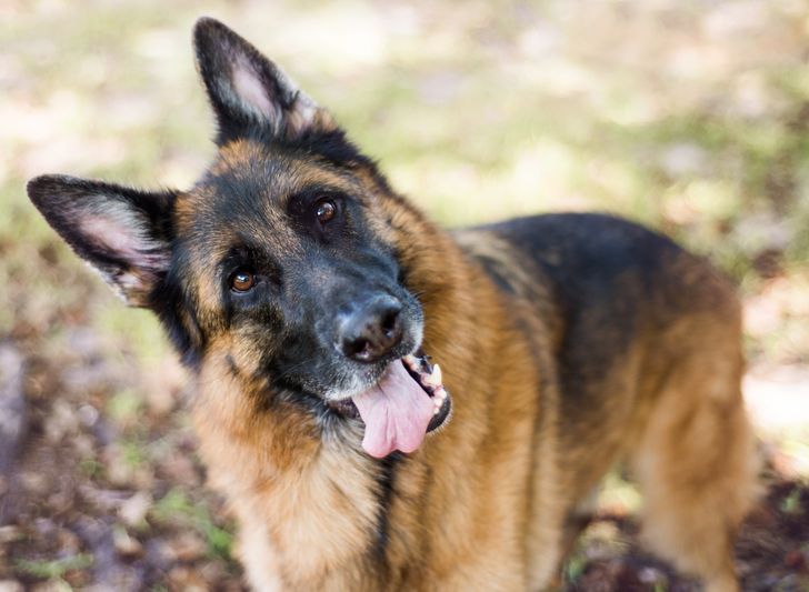 91b2f05a638c623d3bcb233a29