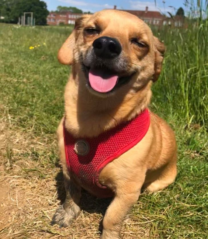 91bf9050af825a454a27ffc168