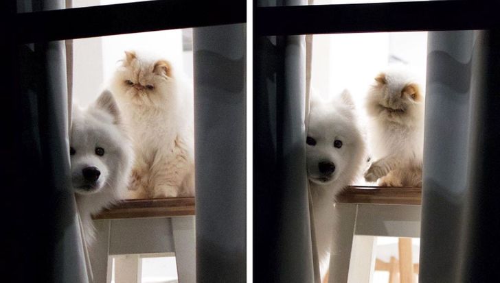 91c48255ba98a180178a9398c2