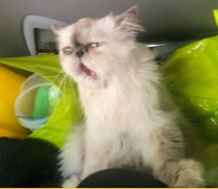 91c9f15a5ba57b0539a1da5c5d