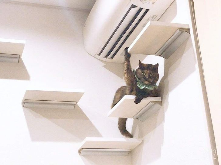 91ce6b53a0aa9543a530961a2d