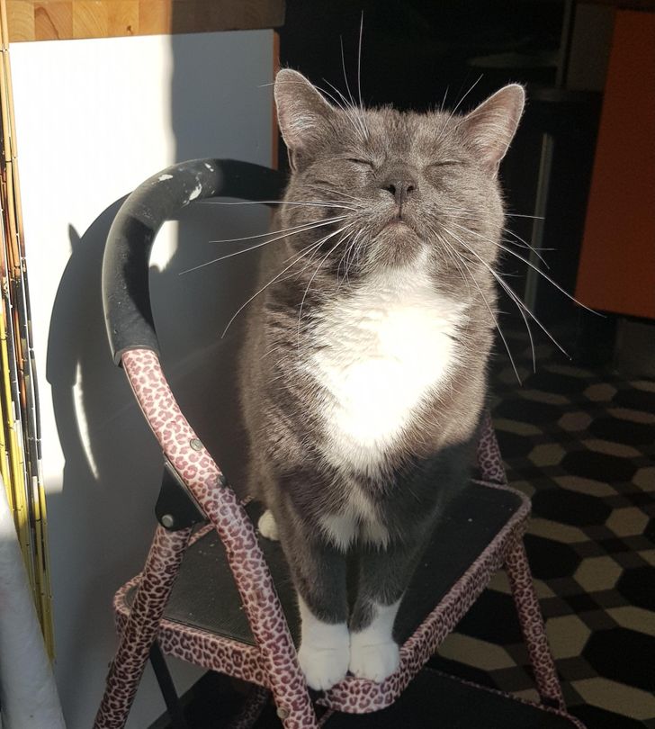 91d6265a7fbde876e18a57a189