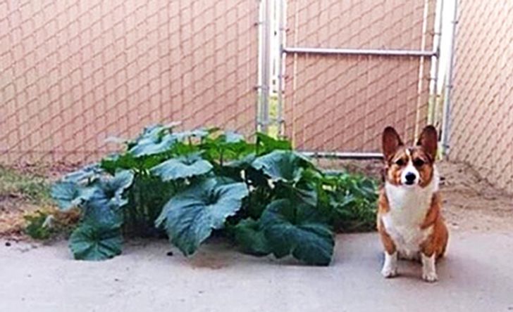 91d66f5622b2747ce2b6aeac63