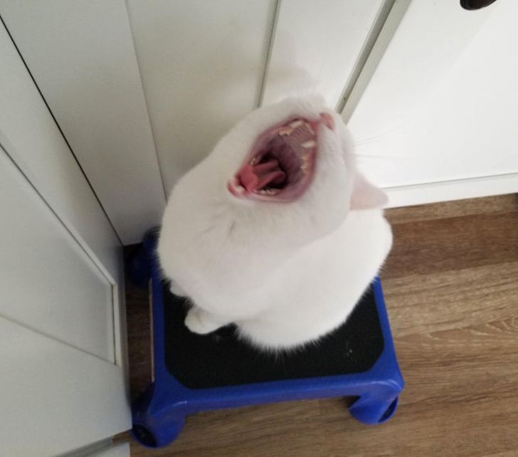 91d86559aba5f5a3104d181a47