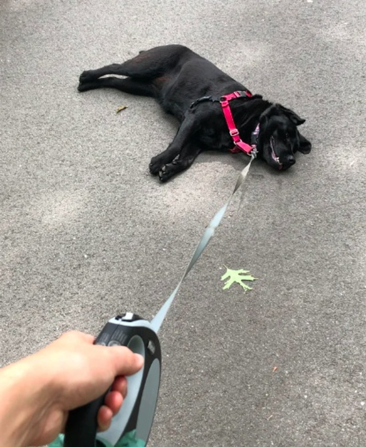 91da125a79b8021716e82b7503 91da125a79b8021716e82b7503