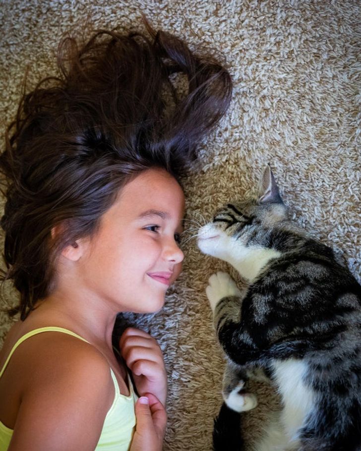 91e243579cbc747ce3c6e71fce