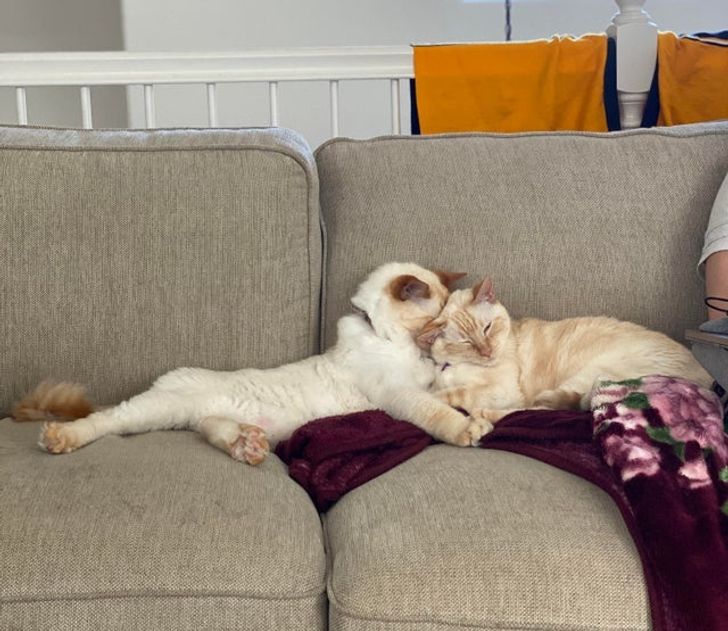 91e3e45e12b93374de82133887