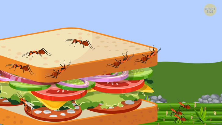 91e98359dc8b217f3707bb40af 91e98359dc8b217f3707bb40af