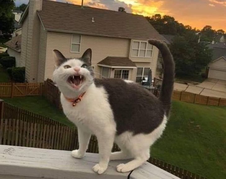 91edf957f89c6659d88238dcc8