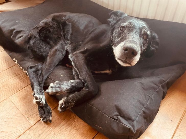 9205825a5db7080e46beea0c82