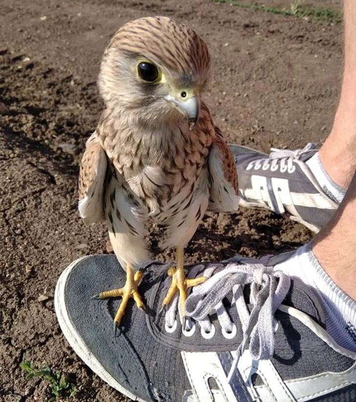 9205b35022928f759888387bb3