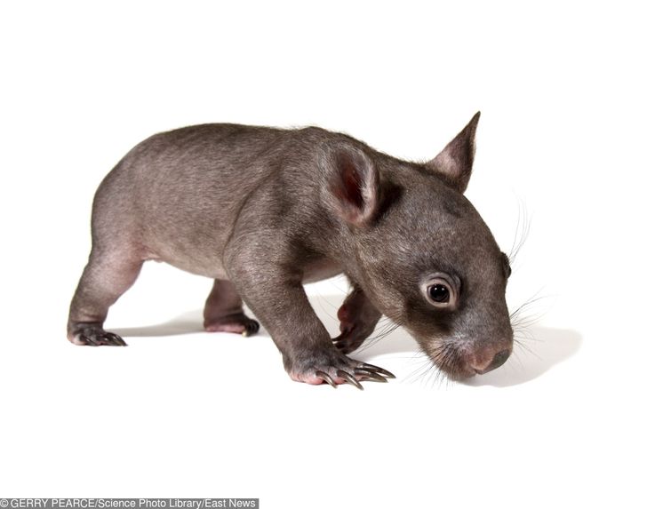 9211d752959d7fe2865da09a49