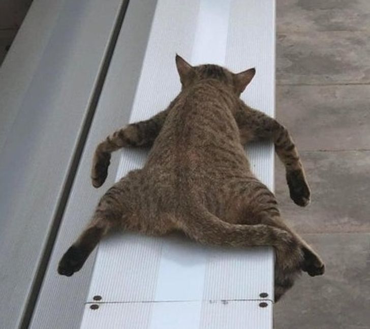 92189a5d0c86f9579768ee2d4d