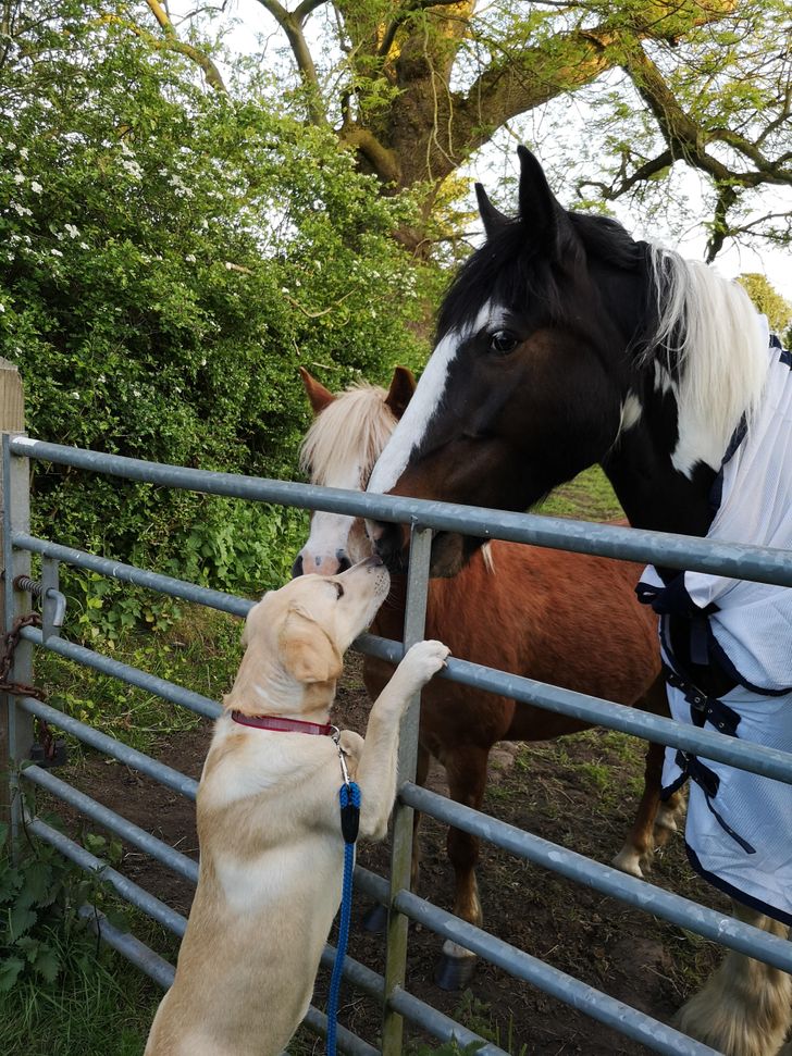 9218f45c609312dff2ae7495d0