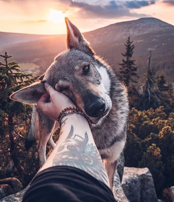 92210157309b3cc438993f6b19 92210157309b3cc438993f6b19