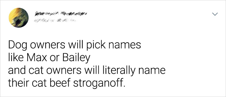 922367511b8002724f1cc78c2d