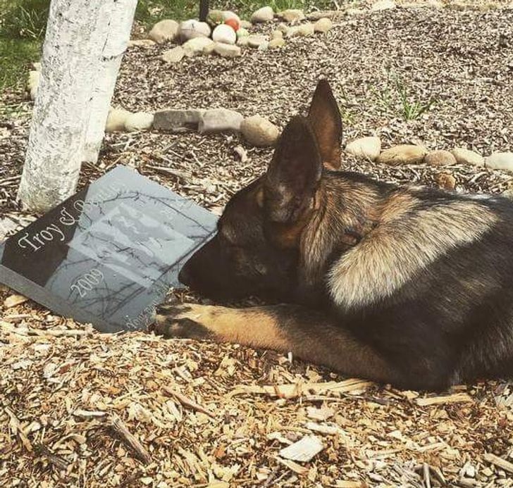 9231f35e71ae4a794aff38c1fb