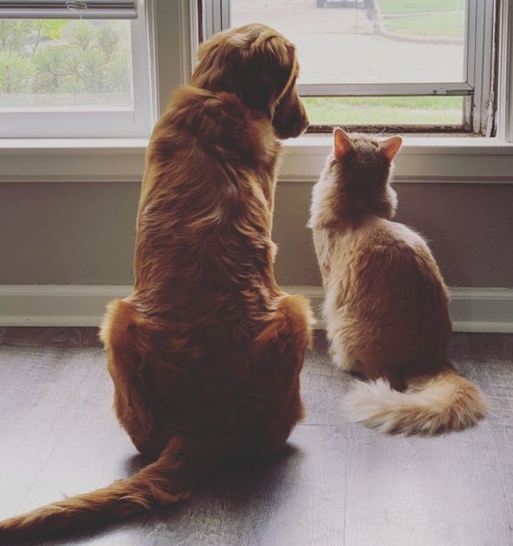 9232195b72a710b06f61ea3879