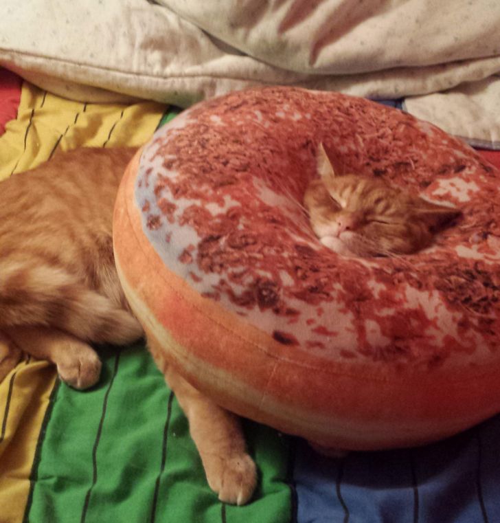 92438d581085fa7668f66df803