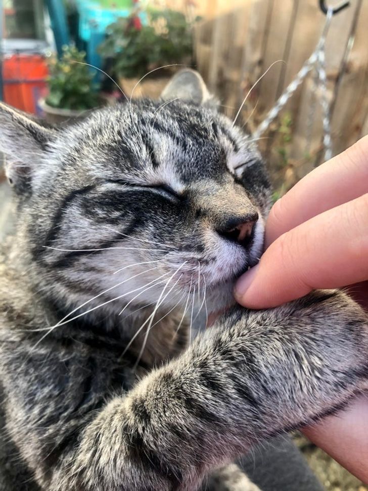 9245145d738fb35a0338d964b9