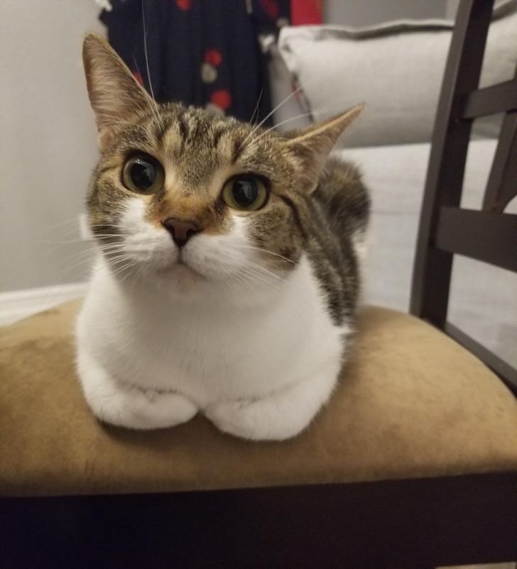 924994512485c68b296dfbb5f8