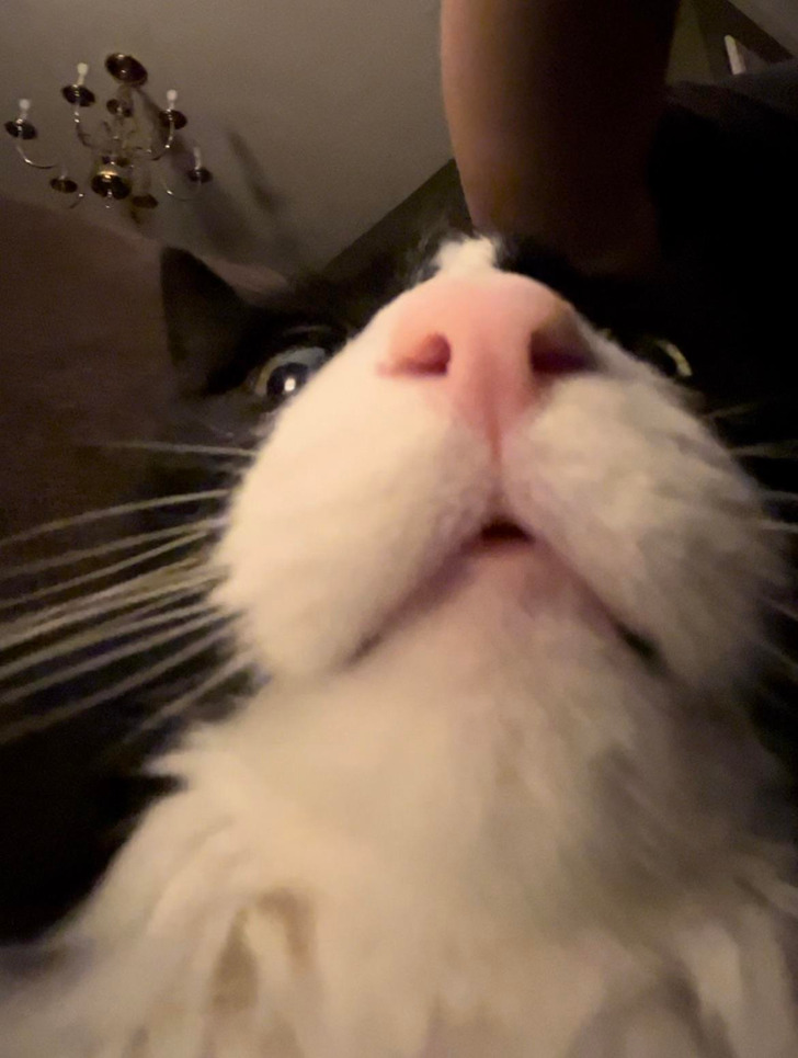 924dd95cdeab5cbd7c0625dea4