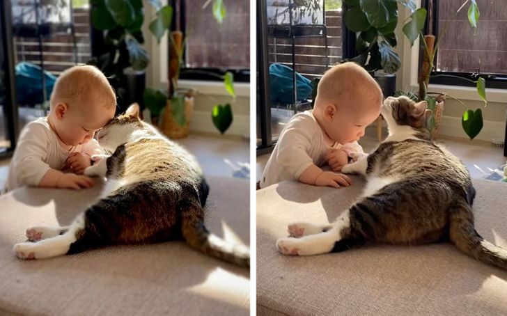 924f015bbebde5f464c443ff74