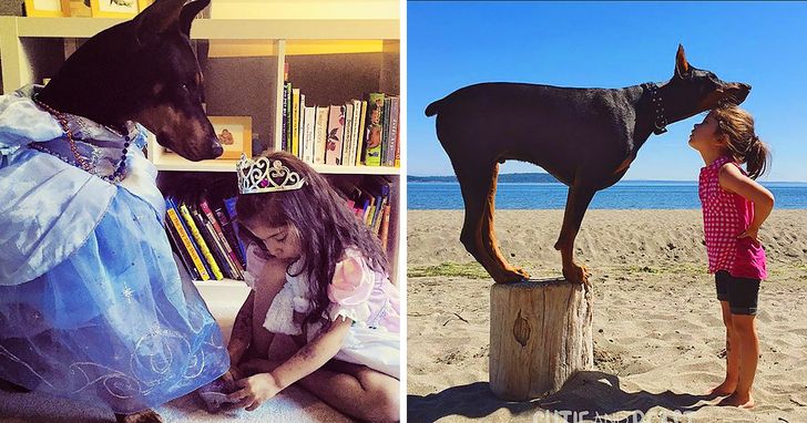 925d3257b89cca80795e45ec36