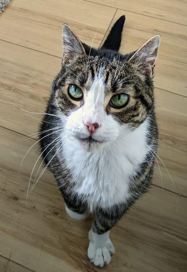 9269735974a064f9c979df823b