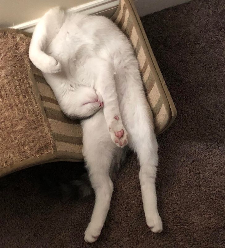 926b44552bbe58bcabec9982b4