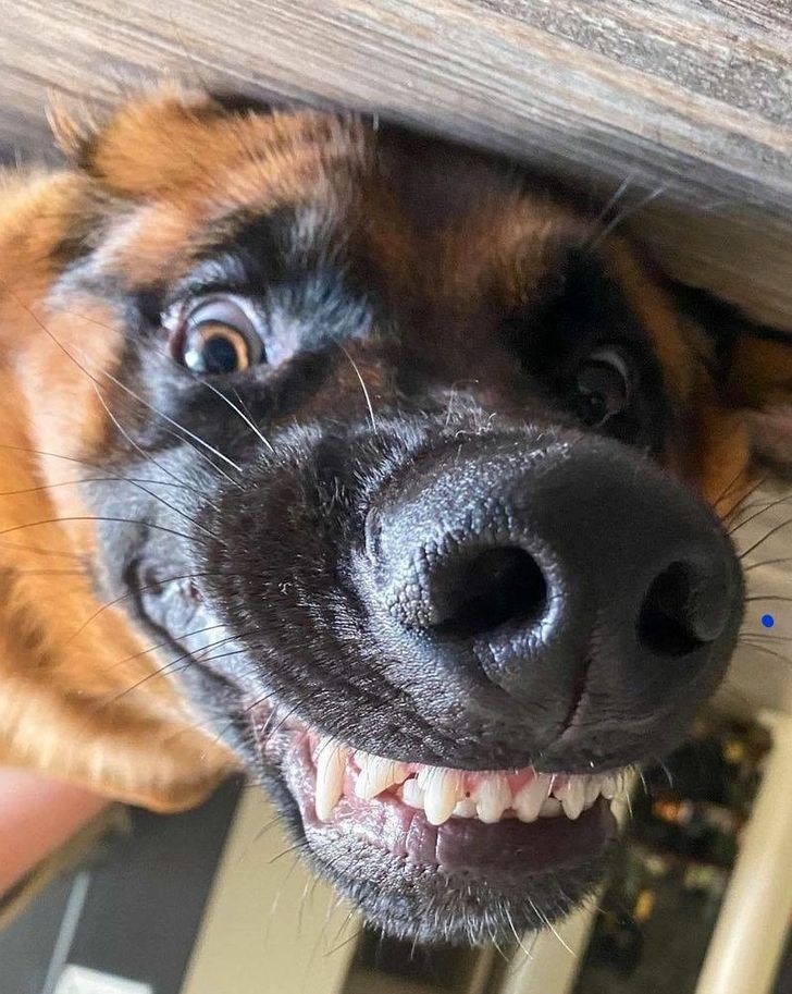 926b9755279145c9099fe89939