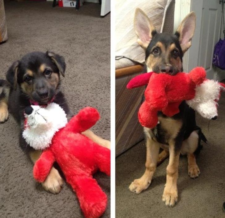 927bfc535e90cda1d9dc457b68