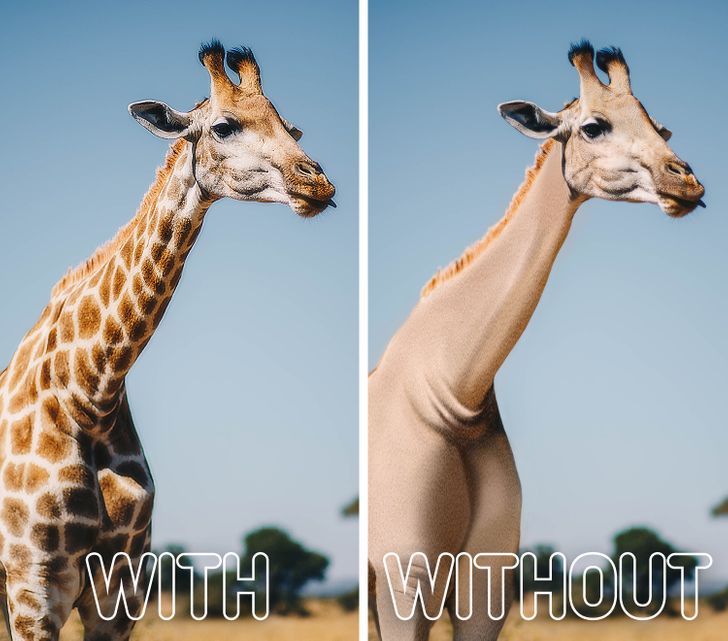 9280d655b694d4524f647e7edf