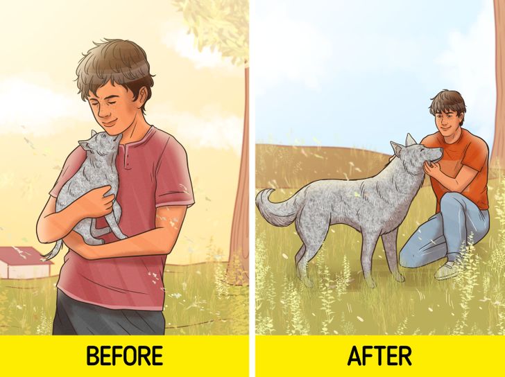 9289055d798618e97711a6e511 9289055d798618e97711a6e511