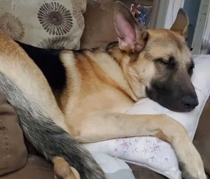 9291eb546fa0dbf68d6018f99d