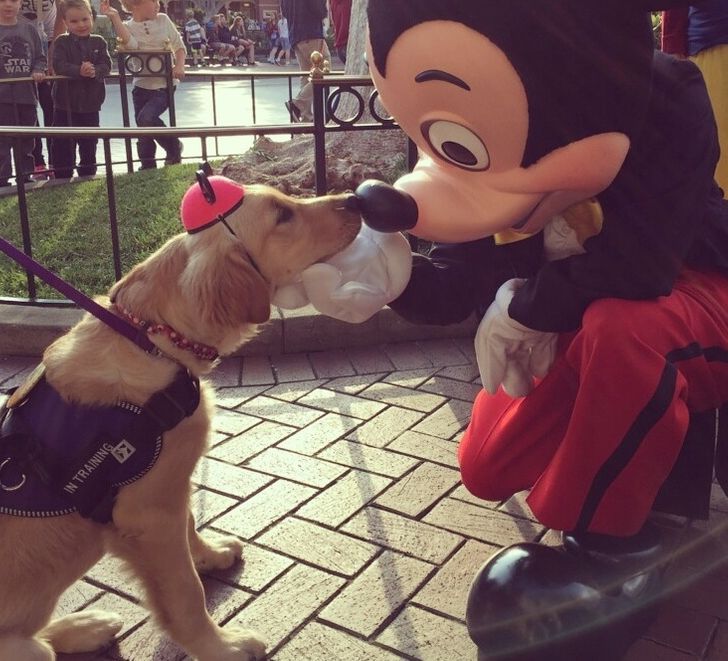 929aef56d6a1fbf945657ef45b