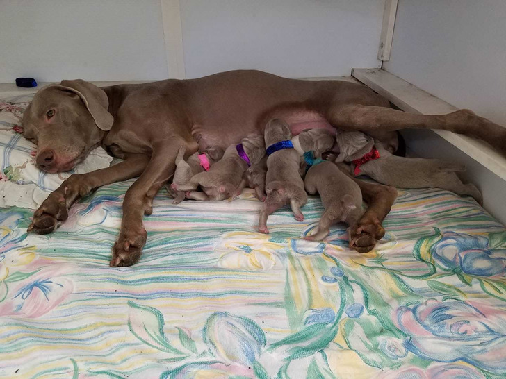 929ea3575cad002a5fad69d699 929ea3575cad002a5fad69d699