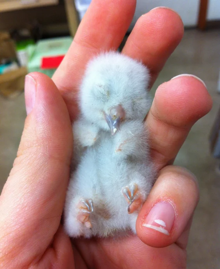 92a11b56fcafd8868698f58367 92a11b56fcafd8868698f58367