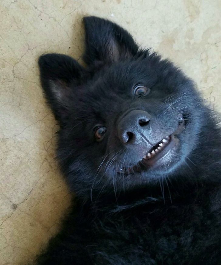 92a4b2552baaf7f19a79b98f5e