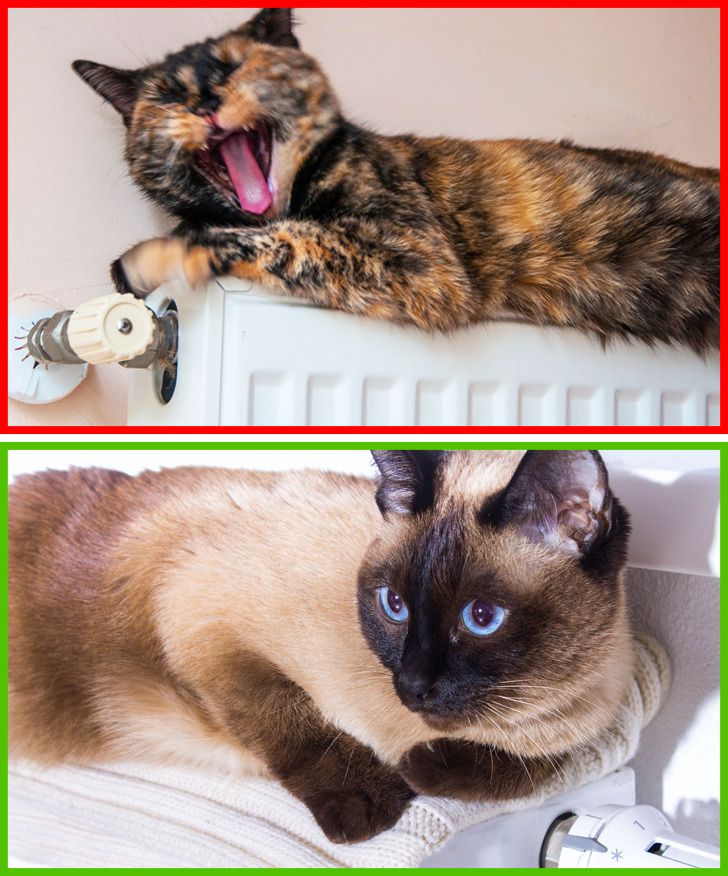 92a5b05050b35c8410e0ca6fba