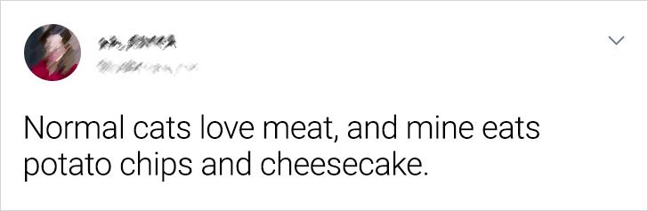 92ae595b0080f6d3c06acec635