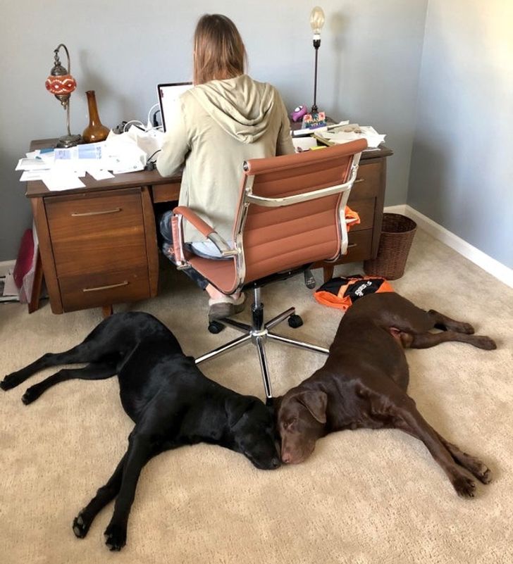 92b4375cce87d134d7eb9897dd