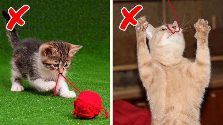 92b6c35bfbb13b251ed78c804b