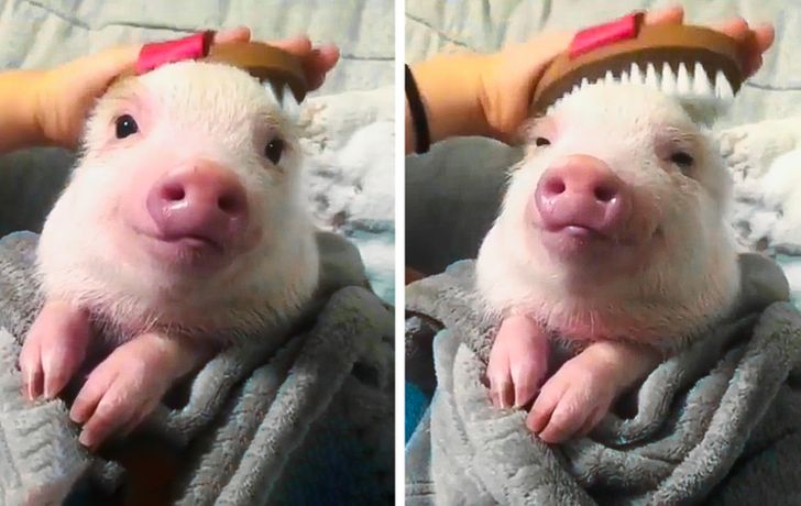 92b74e5ad4817df3860fb75fa6