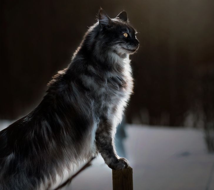 92b9dc531c8660f8a604d1245a