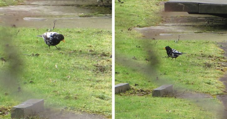 92bdfe5b1e946b057726fc5094