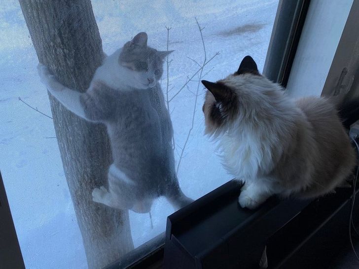 92ccf050ba8eb7305456efae77 92ccf050ba8eb7305456efae77